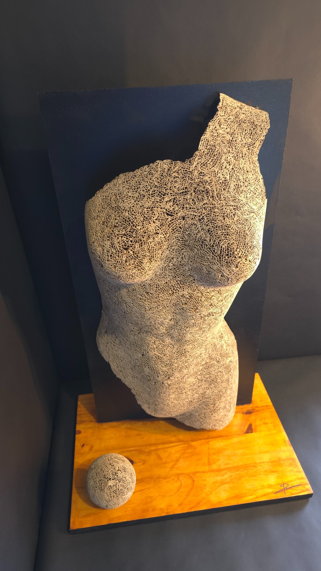 26/10/2025  Dentelle de Terre, Mémoire de Femme  68 x 44 x 30 cm Cette œuvre se compose d’un torse féminin fragmenté et d’une sphère représentant la Terre, tous deux sculptés en dentelle de carton recyclé. Elle incarne la mémoire du vivant, la fécondité, la fragilité et la force du geste artisanal. Chaque élément est façonné à la main, sans moule ni découpe mécanique, révélant une maîtrise technique et une intention poétique. Le carton, matière humble et éphémère, devient ici vecteur de lumière et de sens. Cette création s’inscrit dans une démarche écologique et narrative, où l’artisanat dialogue avec la mémoire collective et les enjeux contemporains.